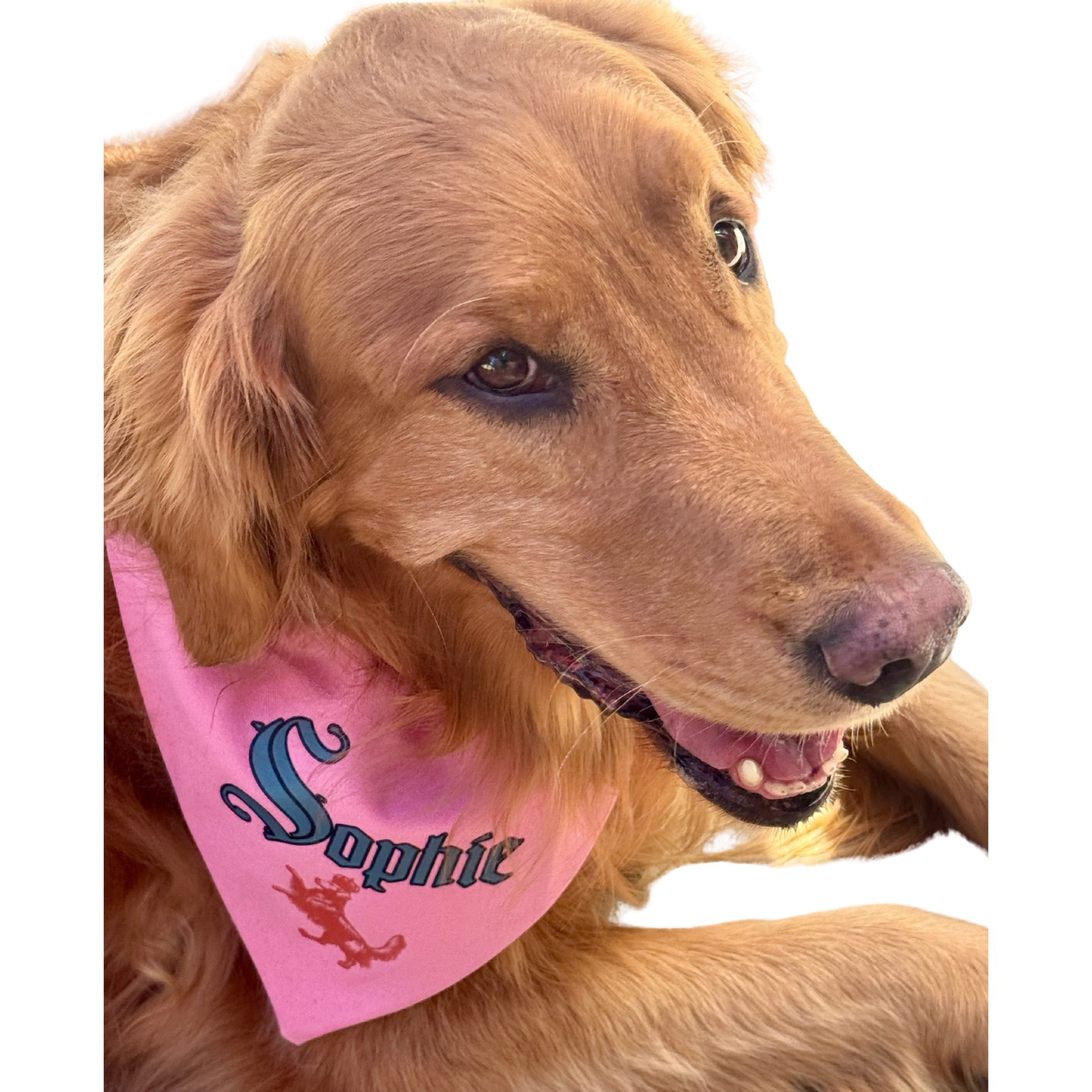 Sophie's Gin